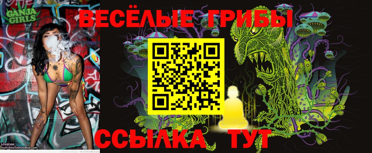 Псилоцибиновые грибы мицелий  Псилоцибиновые грибы GOLDEN TEACHER  наркошоп  Мариинск  Вход с VPN 